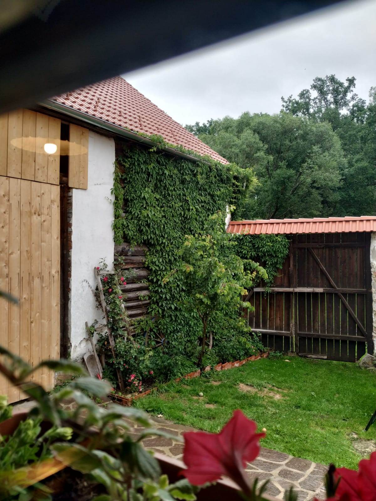 pohled z apartmánu