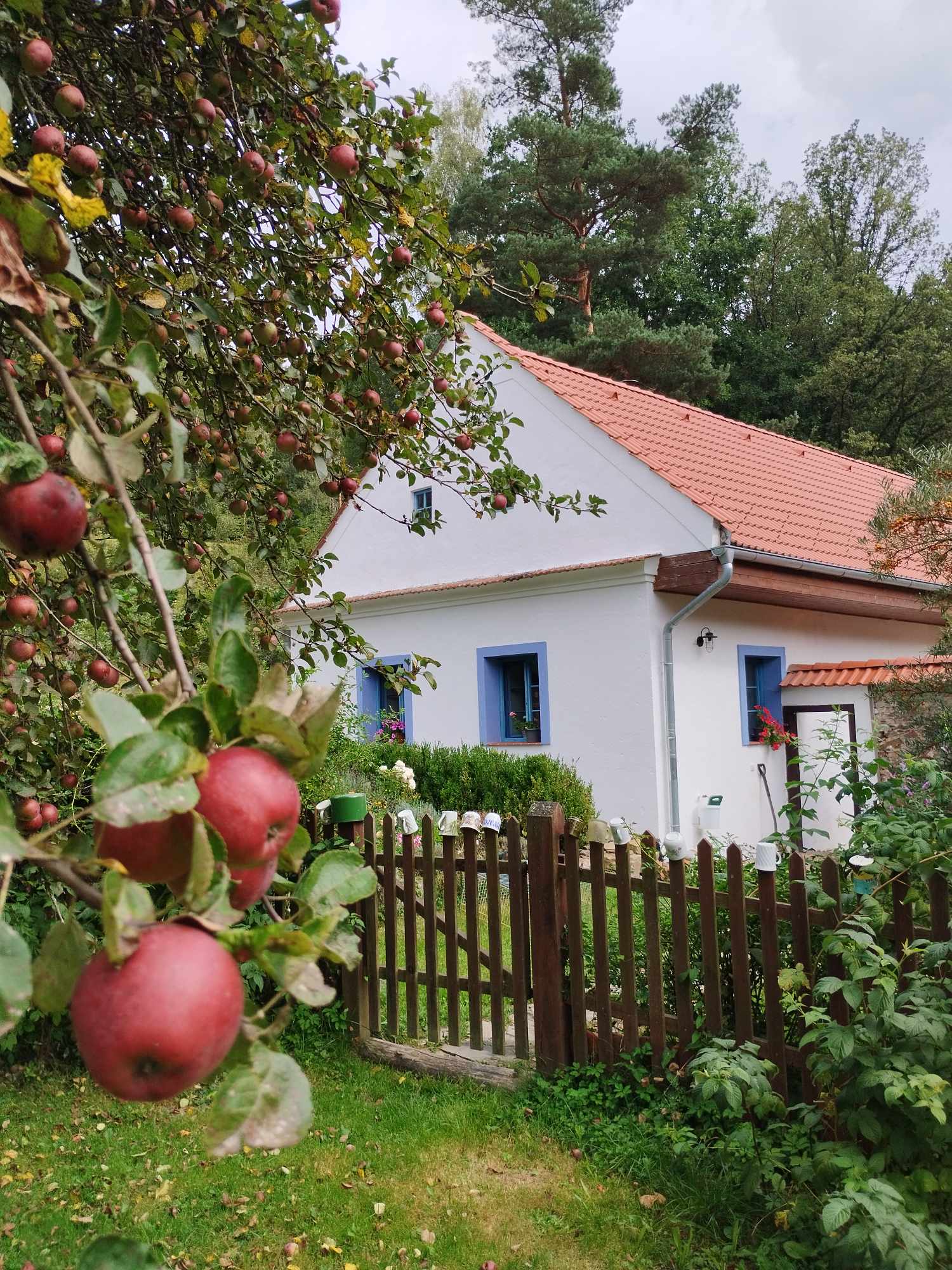 pozim na statku